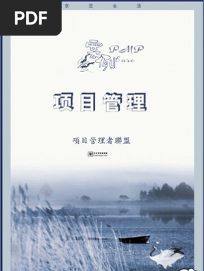 项目管理实践案例 Pdf