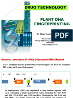 DNA Fingerprinting for Herbal Drug Authentication