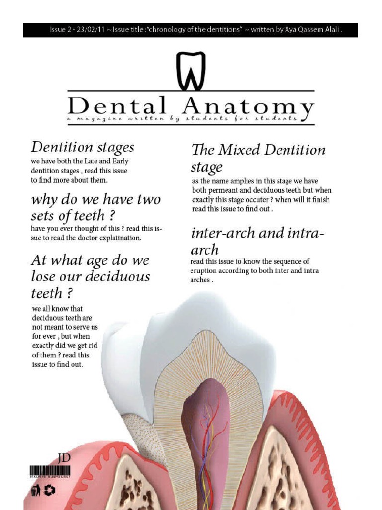 Chronology of Mixed Dentition Stages | PDF | Tooth | Dentistry Branches
