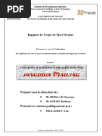Rapport_de_Projet_de_Fin_dEtudes_Concept