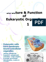 3 Organelles Structure Function