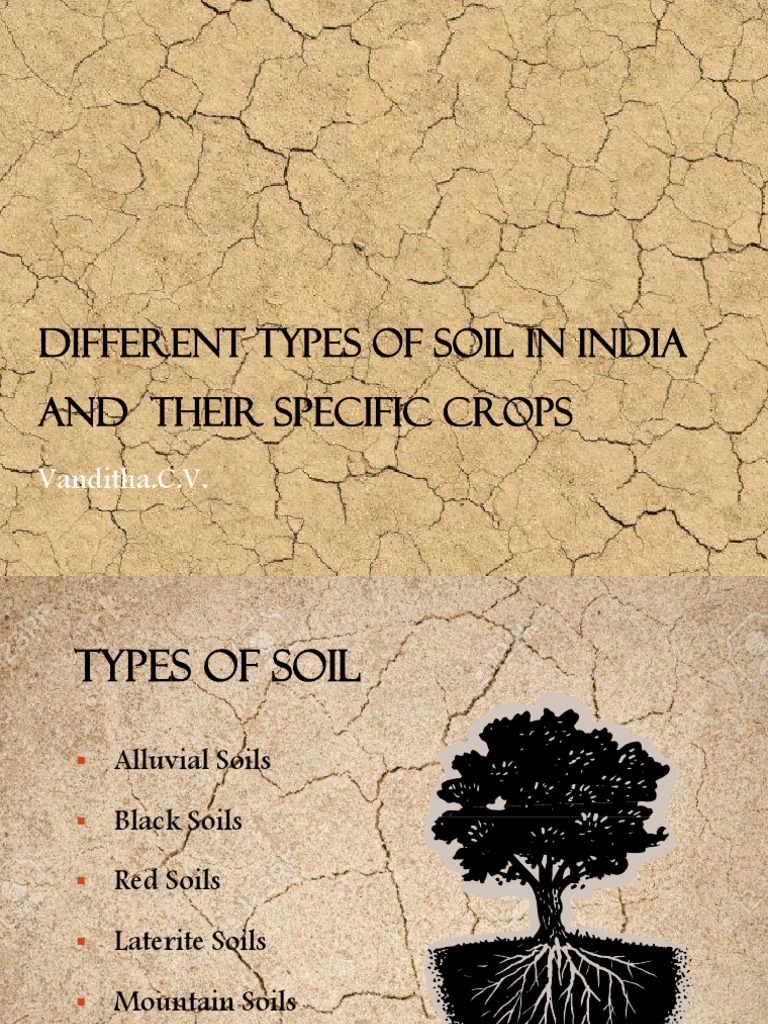 Different Types of Soil in India and Their Specific Crops | PDF | Soil ...