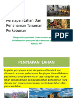 PTT Persiapan Lahan Perkebunan