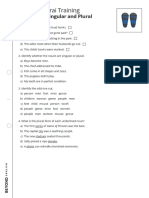 Spag Samurai Training: Grammar - Singular and Plural