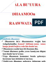 2ffaa Dhaamoo