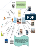 Evidencia 8 Mapa Mental - Cotizaciones