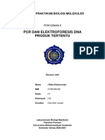 Biomol Laporan PCR Dan Elfo Dna Produk