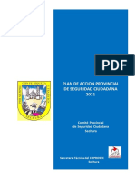 Plan de Accion Provincial 2021