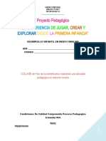 Propuesta Pedagógica UT 2021 - AJUSTADA Remoto y Alternacia