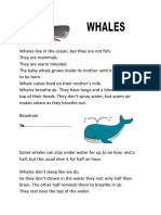 Whales Information Gap Activities Wordsearches 77637