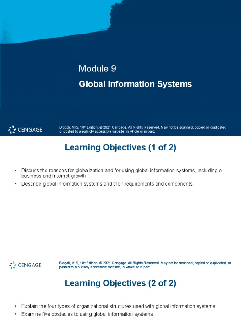 Global Information Systems | PDF | Internet | Information System