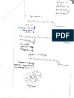 Glycogen synthesis