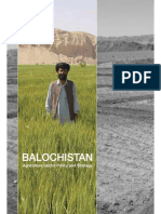 Balochistan: Agriculture Sector Policy and Strategy
