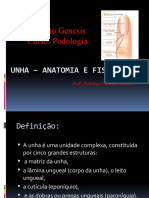 1 Unha - Anatomia & Fisiologia