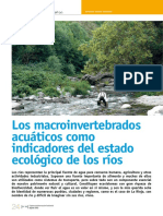 Dialnet-LosMacroinvertebradosAcuaticosComoIndicadoresDelEs-4015812