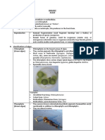 Biology Algae A. General Characteristics: Volvox, Etc), Some Are Marine (Sargassum, Laminaria, Etc) and Some Are