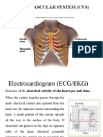 Physiology 09