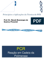 PCR diagnóstico