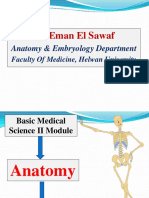 Dr. Eman El Sawaf: Anatomy & Embryology Department