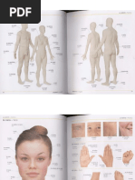 Spanish English Visual Bilingual Dictionary | PDF | Sistema ...