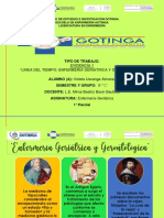 Enfermeria Geriatrica y Gerontologica