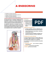 Practica 3 Sistema Endo...