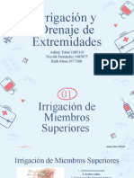 Irrigación y Drenaje de Extremidades.