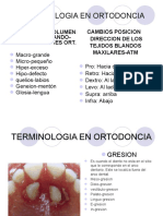 Terminología ortodoncia