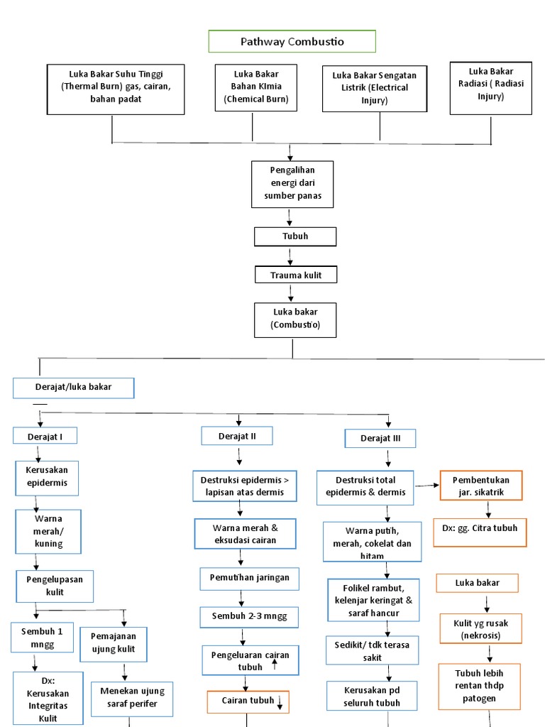 Pathway dan Grading Luka Bakar | PDF