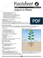 Biology Summer Study Transport in Plants