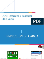 APP CO MTR DL 102 Inspeccion de Carga (APP)