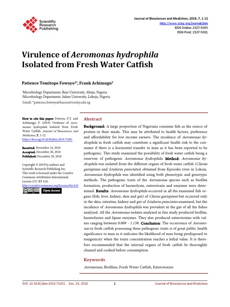 Virulence of Aeromonas Hydrophila Isolated From FR | PDF | Polymerase ...