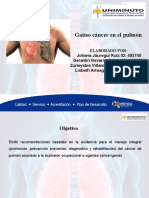 Diapositivas Gatiso Cancer de Pulmon