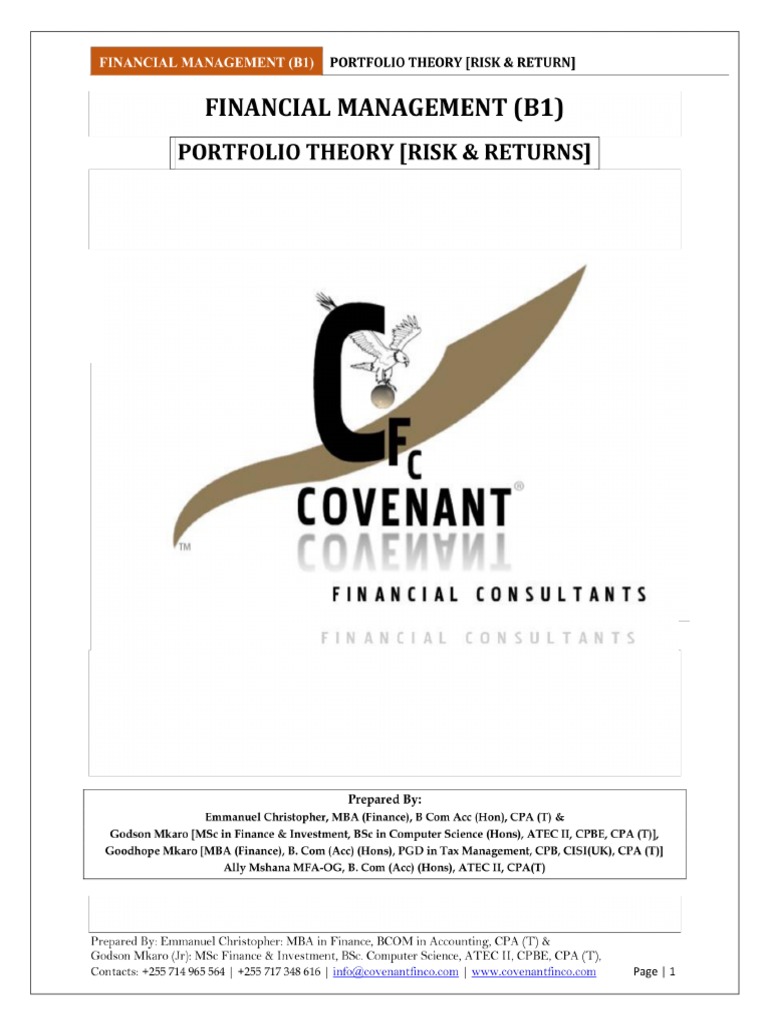 Portfolio Theory (Risk Returns) | PDF