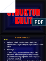 Struktur & Fungsi Kulit - Kuliah AP 13