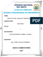 Práctica de La Semana 13 - Sistema Reproductor-Yomira Ruiz Saavedra-Escuela de Enfermería-Primer Ciclo