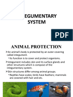 Integumentary System