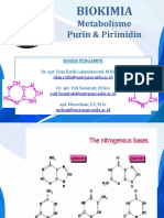 Metabolisme Purin Pirimidin TA 2019-2020 - FFUP