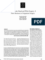 AAOS Paperchapter With Jupiter and Amadio