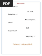 PDF Document