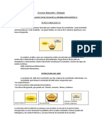 Biología 3º Año Actividad 1 de 1° Trimestre