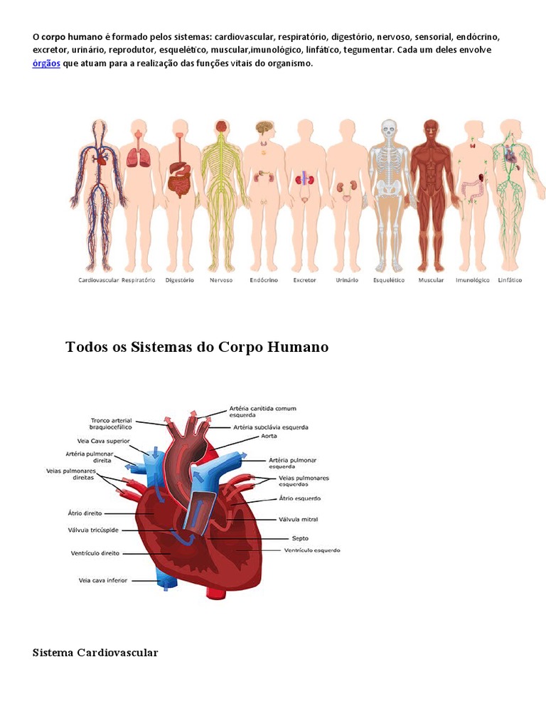 Todos os Sistemas do Corpo Humano | PDF | Corpo humano | Sistema ...