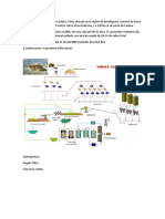 Recopilación de Información