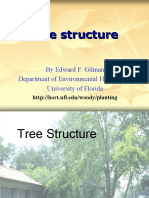 Treestructure