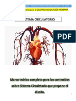 Modulo Sistema Circulatorio