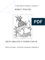 Proiect Tematic Zâna Toamnă