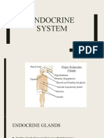 Endocrine System