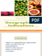 Geographical Indication PPT Edited