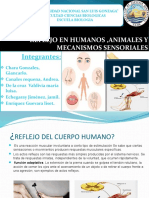 Reflejo en Humanos, Animales y Mecanismos Sensoriales