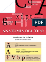 anatomiadeltipo-170408025515